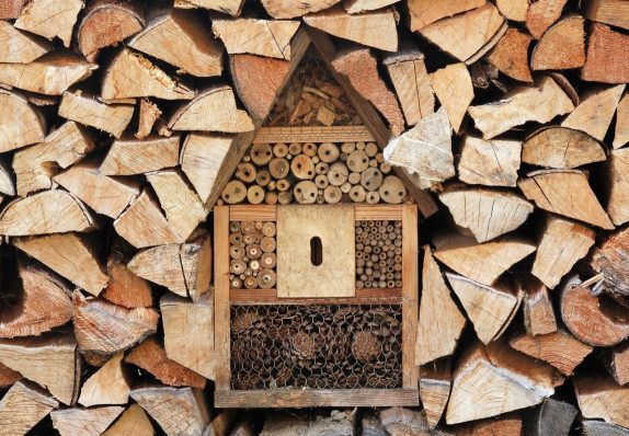 Mitre10---insect-hotel.jpg