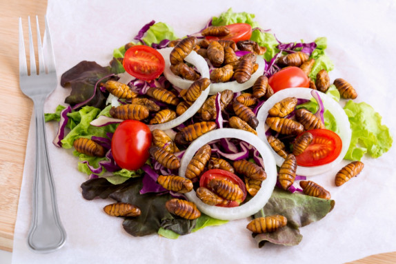 edible-insects.jpg